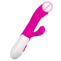 Mini 10-Frequenz Fernbedienung Eingebauter Akku Umweltfreundlicher Vibrator Wasserdichter Dildo Klitoris-Stimulator Weiches Flexibles Silikon
