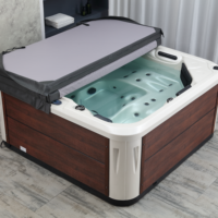 Bain à remous carré d'extérieur 1,8 m (6 pieds) à prix abordable, 22 jets, avec musique Bluetooth, échelles, couverture et chauffage