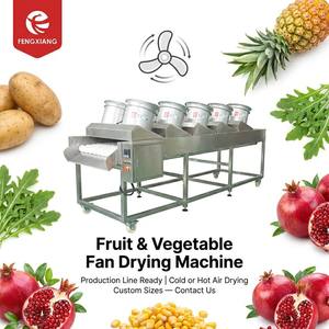 Máquina de Secado de Frutas y Verduras DM-50 Fengxiang, Secador de Aire Frío o Caliente, Línea de Producción Lista para Usar, Tamaños Personalizados Disponibles - Product Image 1