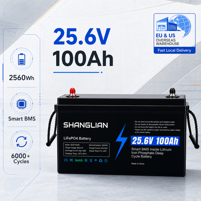 25.6V 100Ah LFP Battery Pack 6000 Cycles 80% DOD 100A Continuous Discharge for Solar Storage Europe Warehouse Project Supply