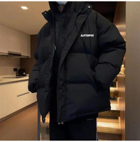 Vestes en duvet classiques et simples pour hommes - style décontracté, polyvalent, rétro, tendance, en stock, prêtes à être expédiées