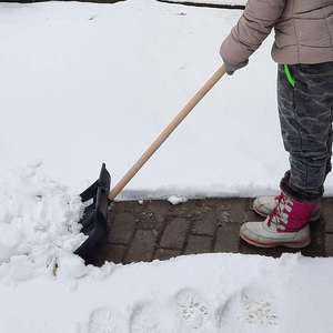 Pelle à neige portable d'hiver avec lame en plastique, manche en bois, longueur 100 cm, pelle compacte robuste, noir/marron clair, OEM - Product Image 4