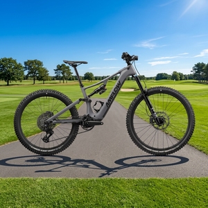Vélo Électrique Pliant Léger en Fibre de Carbone Amflow PR 2026 Haute Vitesse – Fournisseur de Cadres de Vélos Électriques Abordables - Product Image 6