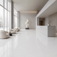 Grande dalle de marbre blanc Bianco Sivec naturel poli pour plan de travail de cuisine, meuble-lavabo de salle de bain, revêtement mural, carrelage de sol