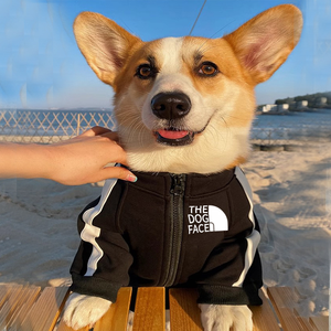 Vêtements pour chiens de marque célèbre, vêtements de sport chauds d'automne, vêtements de luxe pour chiens, sweat-shirt pour animaux de compagnie, vêtements pour bouledogues français <span class=keywords><strong>XXL</strong></span>/XL, en tissu polyester - Product Image 2