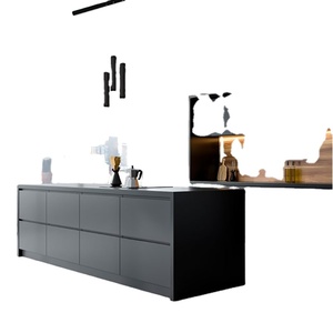 Stainless Steel Double Doors Kitchen Cabinet And Matte Glass Kitchen Cabinet For Kitchen Cupboards