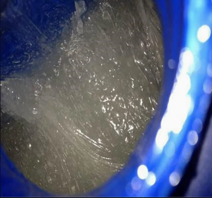 สารทำความสะอาดเส้นผมยี่ห้อ Mote ผลิตจากโรงงานไหหลำ ส่วนประกอบโซเดียมลอริลอีเทอร์ซัลเฟต SLES 28% 70% เท็กซาพอน N70 สีขาว/อ่อน - Product Image 4