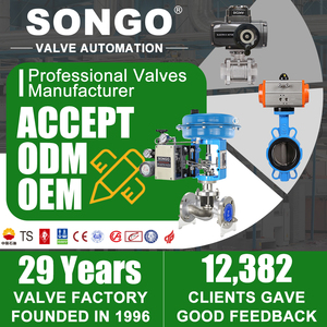 DN32 <span class=keywords><strong>ANSI</strong></span> <span class=keywords><strong>150lb</strong></span> EPDM Ghế Cao Su <span class=keywords><strong>Wafer</strong></span> Loại Sắt Dẻo Ss316 Double Acting Khí Nén Thiết Bị Truyền Động Kẹp Van Bướm Lugged - Product Image 6