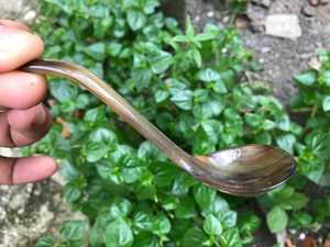 Cuillère en corne de buffle naturelle, fabriquée à la main et polie, parfaite pour servir des condiments d'épices ou une table décorative - Product Image 6