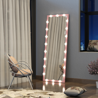 Dropshipping USA Miroir corporel rose 63*24 pouces avec lumières, miroir pleine longueur avec lumières