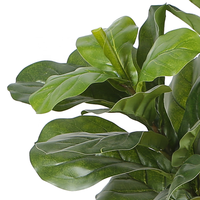 OH ARTS Plante Artificielle Haut de Gamme Effet Naturel, Mini Plante Artificielle, Bonsaï d'Extérieur, Arbre Naturel, Ficus Lyrata