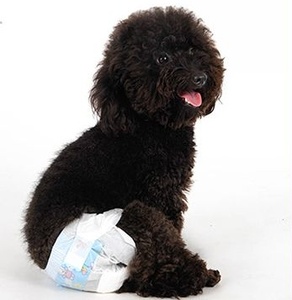 Pañal desechable para perros y mascotas, almohadillas de orina para gatos, superabsorbentes, <span class=keywords><strong>dono</strong></span> - Product Image 3