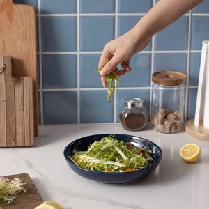 Grands bols à salade de pâtes de 30oz Assiettes larges et peu profondes allant au lave-vaisselle Bols de service de 30oz - Product Image 3