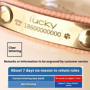 <span class=keywords><strong>Collar</strong></span> personalizable de la marca del gato para las mascotas de cuero de vaca grabado anti-Pérdida Tarjeta de Identidad pelo dorado Teddy cinta de cuero suave para el cuello - Product Image 6