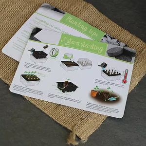 ชุดเริ่มต้นสวน<span class=keywords><strong>ชา</strong></span>ในร่มชุดปลูกระเบียงพร้อมกล่องของขวัญสวยงามกระถาง<span class=keywords><strong>บอน</strong></span><span class=keywords><strong>ไซ</strong></span> - Product Image 5