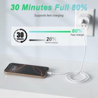 Cable de Carga Rápida USB-C de 1M con Revestimiento de TPE y Conductor de Cobre Puro para Teléfono 17 Max Pro y Computadora, Apto para Uso en Interiores y Exteriores