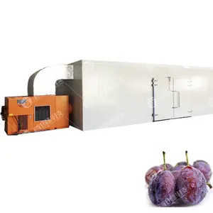 Yüksek kaliteli çevre dostu düşük maliyetli erik ısı pompası kurutma fırını lor meyve kurutma makinesi kuru gıda kurutucu Yam kurutma