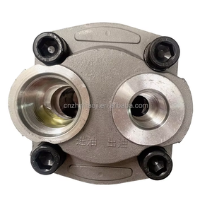 Bomba Hidráulica de Engranajes Shimadzu CSJHPSS para Montacargas SGP1 SGP2, Material de Hierro, Tamaños SGP1-23 SGP1-25 SGP1-27 SGP1-30 SGP1-32 SGP1-36 - Product Image 5