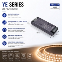 Alimentation à découpage à tension constante 12V 300W pour LED, large plage d'entrée, fonctionnement silencieux, SMPS IP20, usage intérieur, sortie 25A pour LED
