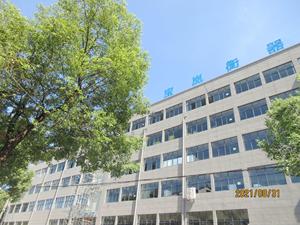 BL-2005D Độ phân giải cao kỹ thuật số điện tử có trọng lượng phòng tắm cá nhân quy mô BL-2005D 180 kg Tempered Glass + ABS nhựa LCD - Product Image 6