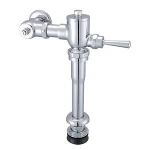 High quality Wall Mounted flush toilet valve flusher push button urinal wc flush valve price