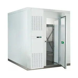 Low Cost Kühlhaus Gefrier schrank Quick-Frezon Cold Warehouse