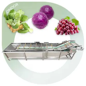 Commercial Multipurpose Vegetable Wash Machine Vegetasble Fruit Elevator Washer and Fruit Wash for Sale