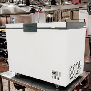 XUECUN/SNOW VILLAGE BD-358直接冷却ディープフリーザーチェストフリーザー冷蔵庫家庭用ホテルショップ用冷蔵庫 - Product Image 1