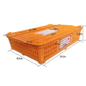Groothandel kip kooien ph-Kleine Size Kwartel Krat/Plastic Levende Kip Kooi Transport Krat Voor Landbouw Kip Apparatuur PH270