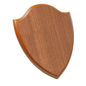 Targa da parete in legno di colore chiaro 200X250X15 mm per esposizione - Product Image 1