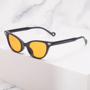 Custom Sunglasses Manufacturer For Men Promo Modern Fashion INS Uv400 Protection Small Frame Cat Eye Sunglasses 2024