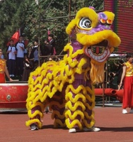 Costume de danse du lion authentique de haute qualité pour adultes, en laine, pour le Nouvel An chinois, avec lanterne en peluche de dragon, à vendre
