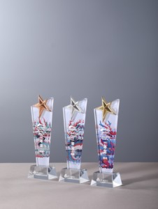 Trofeos chapados en cristal personalizables, placa <span class=keywords><strong>de</strong></span> medallas, competiciones <span class=keywords><strong>de</strong></span> coro <span class=keywords><strong>de</strong></span> música para niños con <span class=keywords><strong>grabado</strong></span> en Color UV - Product Image 3