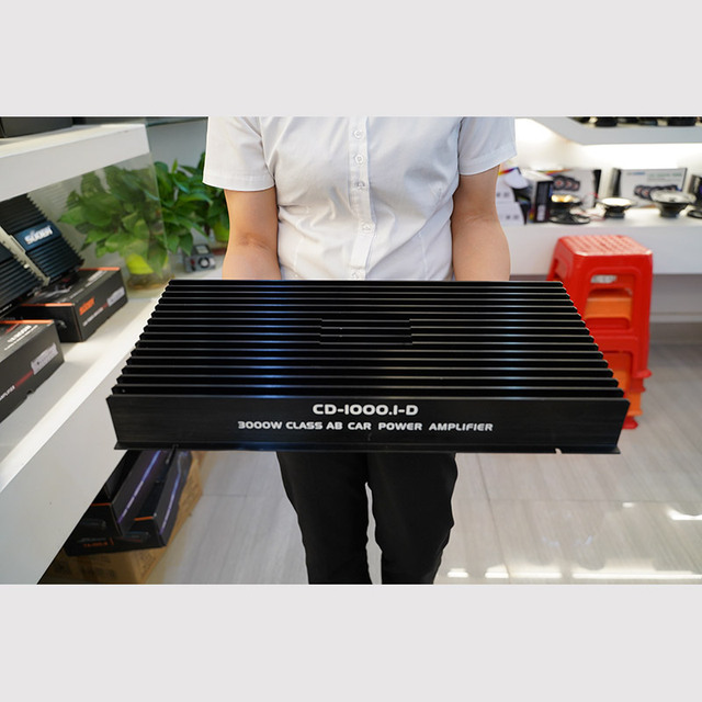 Suoer CD-1000.1-D 3000w Power Big Discount Final Sales Car Amplifier