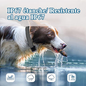 Venta al por mayor de cinta de nylon personalizable <span class=keywords><strong>Collar</strong></span> de entrenamiento para perros HD pantalla digital recargable <span class=keywords><strong>Control</strong></span> de ladridos <span class=keywords><strong>Collar</strong></span> de choque directo de fábrica - Product Image 5