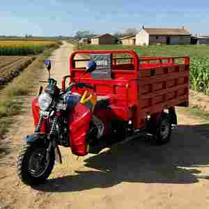 Triciclo <span class=keywords><strong>Motorizado</strong></span> <span class=keywords><strong>de</strong></span> Gasolina <span class=keywords><strong>de</strong></span> 250cc y 3 Ruedas para Uso Agrícola y <span class=keywords><strong>de</strong></span> Carga, Capacidad <span class=keywords><strong>de</strong></span> Carga Pesada <span class=keywords><strong>de</strong></span> 1000 kg - Product Image 4