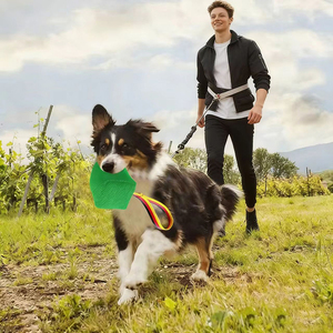 Küçük Köpekler İçin İnteraktif Yırtılmaz Çanta Oyuncak, Çiğneme, Getirme Eğitimi, Diş Çıkarma Oyunu, Orta Boy Yavru Köpekler İçin - Product Image 6