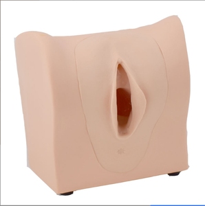 Modelo avanzado de Anatomía Humana anticonceptiva femenina, simulación de habilidades maternas, entrenamiento de ciencia médica, modelo de anticoncepción femenina - Product Image 3