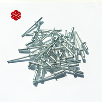 Rivet aveugle à tirage central en acier inoxydable SS304 de qualité taïwanaise, type ouvert, argenté, pour métal
