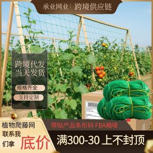 Filet de treillis en nylon Chengye 100M vert pour jardin, support pour fruits et légumes, entraînement des plantes et prévention de l'agglutination - Product Image 3