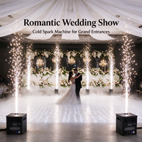 Machine à étincelles froides sans fil DMX 750W pour fontaines de feux d'artifice, idéale pour les événements scéniques et les mariages