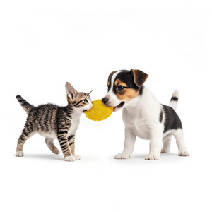Jouets pour chats en luffa naturelle et herbe à chat, biscuits sandwich, jouets pour le nettoyage et le nettoyage des dents - Product Image 4