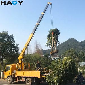 קטן מיני 5 טון הידראולי שלט רחוק ישר טלסקופי ום מנוף רכוב Dongfeng Howo Foton משאית - Product Image 5