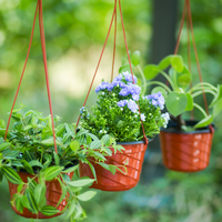 Kit de jardinière suspendue, décoration extérieure économique pour jardin, maison, hôtels, pot de fleurs en PP pour pépinière