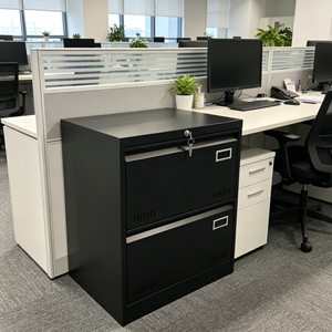 Armadio Archivio in Metallo, Armadietto Metallico, Armadietti per Archiviazione in Acciaio, <span class=keywords><strong>Mobile</strong></span> Archivio per Ufficio <span class=keywords><strong>con</strong></span> 2 Cassetti - Product Image 1