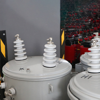Transformateur immergé dans l'huile monophasé à double enroulement Shenmeng S1NM de haute qualité, monté sur poteau, 10 kV 0,4 kV, sans carte PCB, entièrement électronique