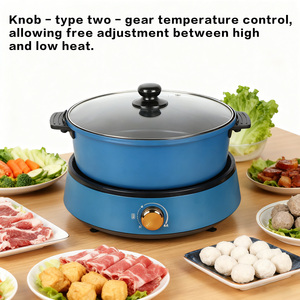 Meilleures ventes : Appareil de cuisson électrique multifonction, Poêle grill antiadhésive, Poêle à frire tendance 2026, Capacité 4 L, Marque TL, Ustensile de cuisine domestique type Dutch - Product Image 5