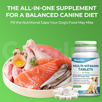 Suplemen Vitamin dan Mineral untuk Hewan Peliharaan dari Pabrik OEM, Mendukung Kesehatan Sistem Imun, Tablet Multivitamin untuk Anjing