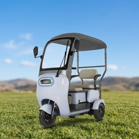 Tricycle électrique semi-fermé neuf pour usage domestique, pratique pour les adultes et les personnes âgées