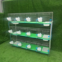 Cage à lapins multi-niveaux pour l'élevage de lapres et de lapereaux, en promotion, vente en gros